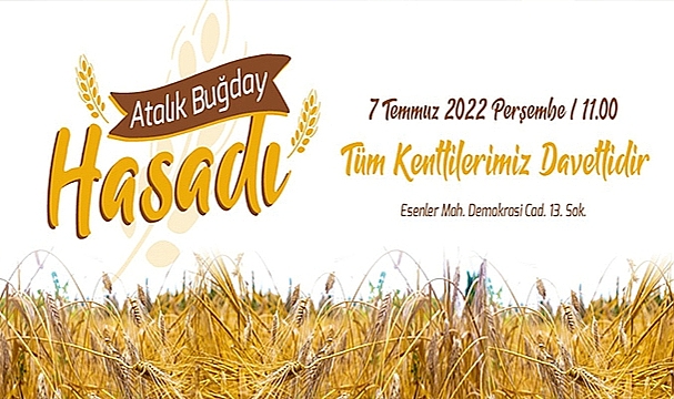 ATALIK BUĞDAY HASADINA DAVETLİSİNİZ