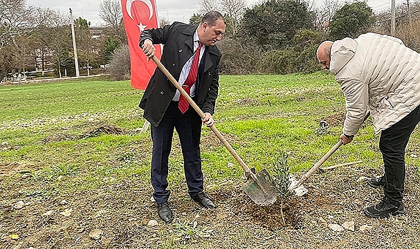 ''ZEYTİN FİDANI DİKİMİ'' ETKİNLİĞİ GERÇEKLEŞTİRİLDİ