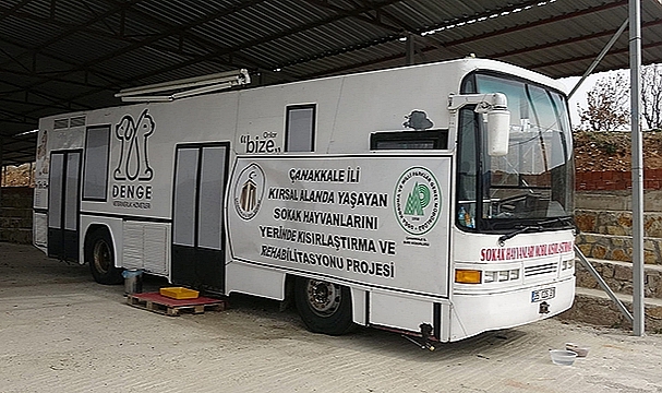 SOKAK HAYVANLARINI KISIRLAŞTIRMA VE AŞI PROJESİ HAYATA GEÇTİ