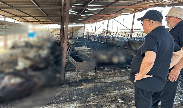 Ayhan Gider, Yangının Yol Açtığı Hasarı İnceledi