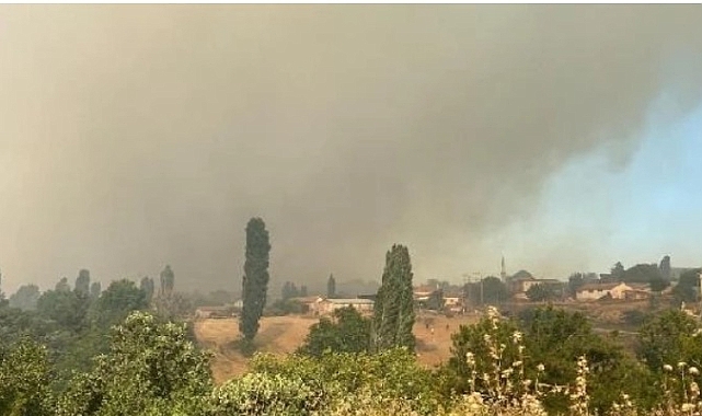Kızılkeçili köyün'de Orman yangını
