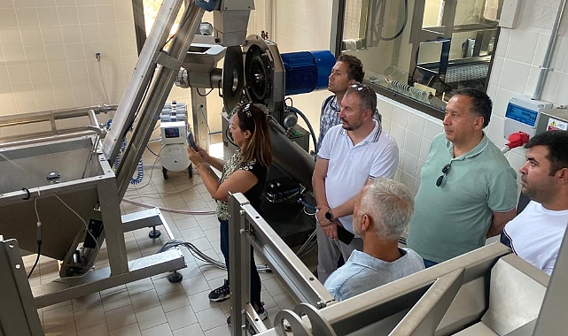 Portekizli akademisyenler Çanakkale zeytinine hayran kaldılar