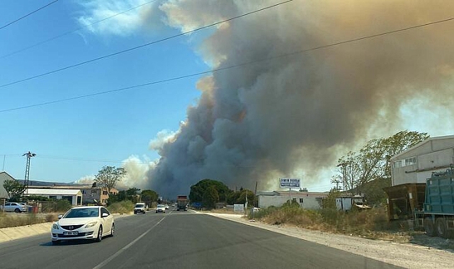 Çanakkale'de orman yangını