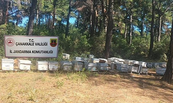 JANDARMA DEDEKTİFLERİ İŞ BAŞINDA