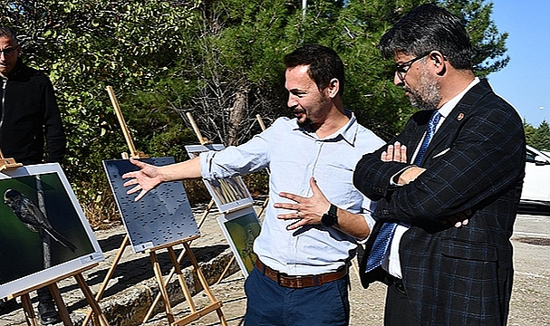 ÇOMÜ KUŞLARA YUVA OLUYOR