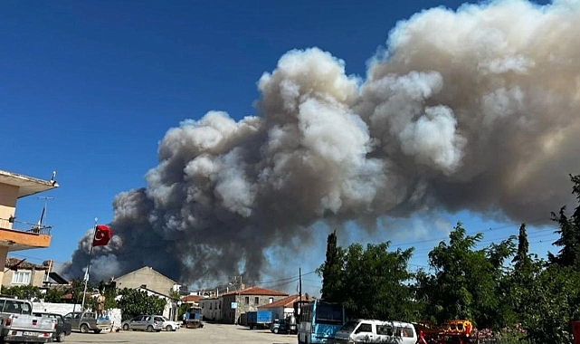 Çanakkale'de Orman Yangını: Tarihi Alanlar ve Köyler Tehdit Altında