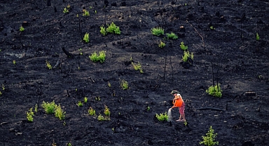 “Doğaya Kelebek Etkisi” Fotoğraf Yarışması Sonuçları Açıklandı
