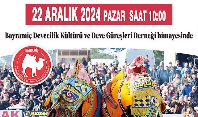 Bayramiç’te deve güreşi 22 Aralık’ta