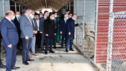 Turan: Özel barınak açmak isteyenlere valilik destek verecek