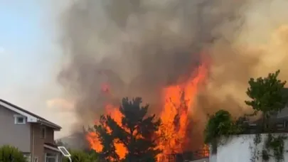 ÇANAKKALE’DE TARIM ARAZİSİNDE BAŞLAYAN YANGIN ORMANLIK ALANA SIÇRADI