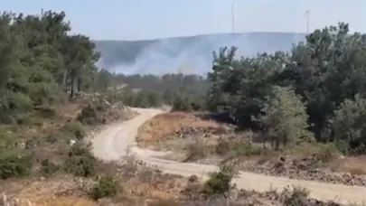 Çanakkale’de Orman Yangını! Alevler Kaz Dağları’nı Tehdit Ediyor