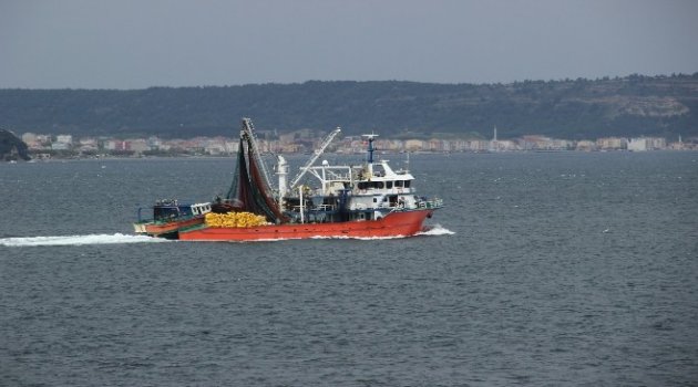 Av Yasağı Başlıyor Balıkçılar Dönüyor