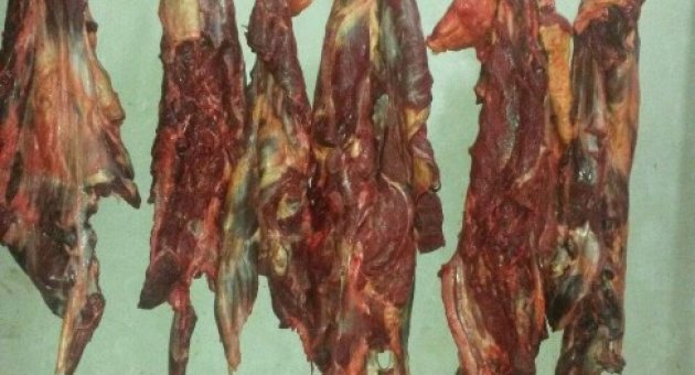 - Bursa’da At Eti Operasyonu