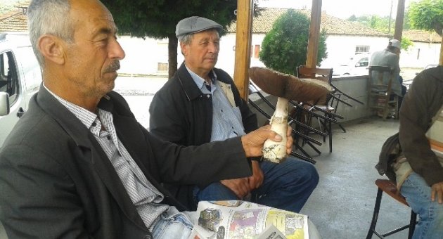 1 Kiloluk Mantar Görenleri Şaşırttı..