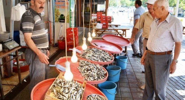 10 Yıl Aradan Sonra Denizlerden Sevindiren Haber