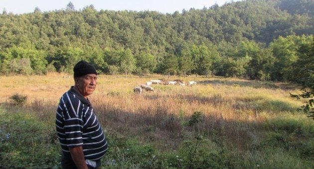 10 Yıldır Kazdağlarında Yaşıyor