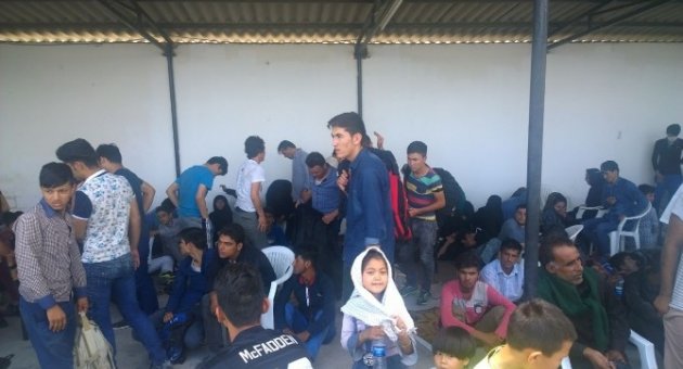 113 Kaçak Göçmen Yakalandı