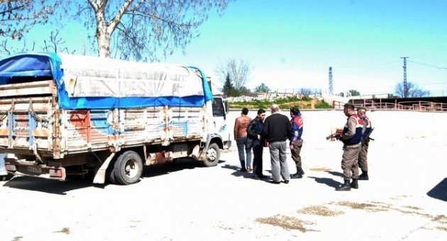 20 Kaçak Dana İle Yolda Yakalandılar