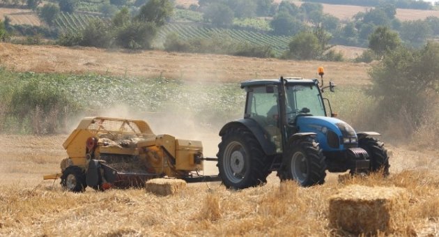 40 Derece Sıcakta Gençlerin Ekmek Mücadelesi