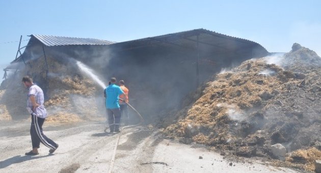 40 Ton Buğday Yangında Kül Oldu