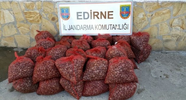 6 Ayda 39 Bin Kilo Kaçak Midye Ele Geçirildi