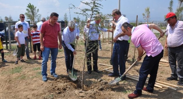 Afet Evleri Yeşilleniyor