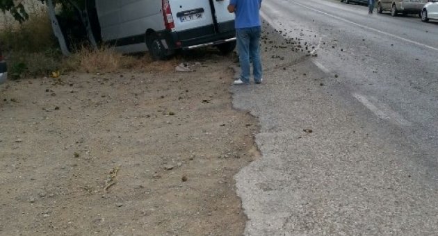 Ağaca Çarptı