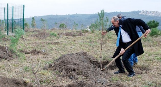 Agah Bursalı Ormanı’na Düzenleme