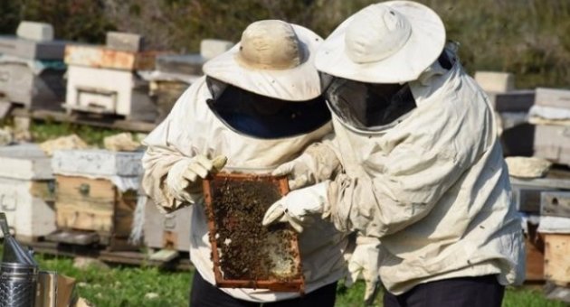 Aliağa’da Bal Üreticileri Birliği Yönetim Kurulunu Belirledi