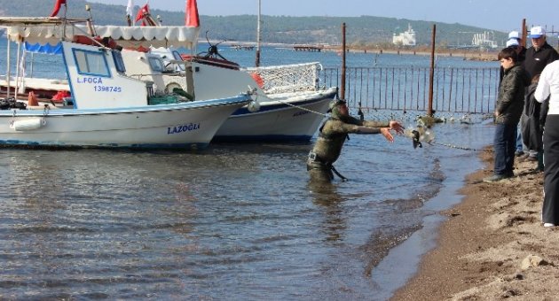 Aliağa’da Kıyı Temizliği Yapıldı