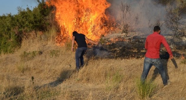 Aliağa’da Makilik Alanda Yangın