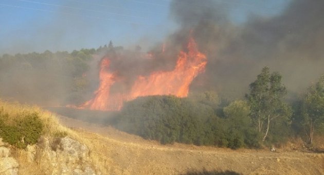 Aliağa’da Orman Yangını
