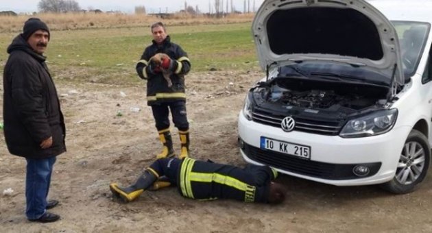 Aracın Motor Kısmına Sıkışan Köpeği İtfaiye Kurtardı