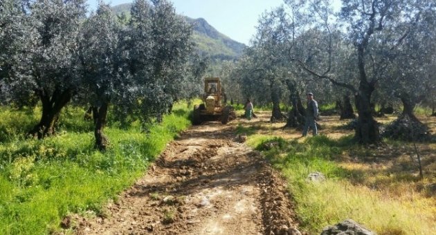 Arazi Yolları Düzenleniyor