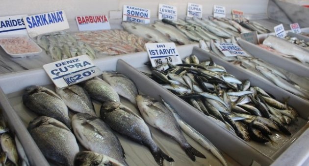 Av Yasağının Ardından Balık Satışları Azaldı