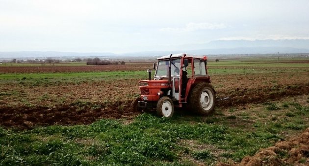 Ayçiçeği Ekimi Başlıyor