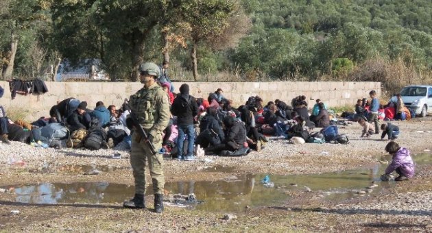 Ayvacık Sahillerinde Bin 491 Mülteci Yakalandı