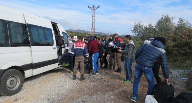 Ayvacık’ta 386 Kaçak Yakalandı