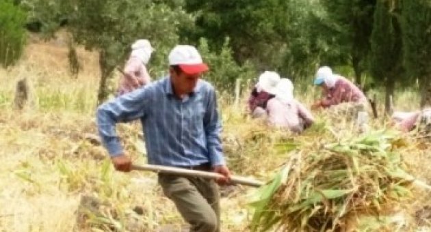 Ayvalık Belediyesi’nden Mezarlık Temizliği