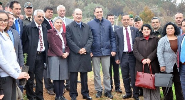 Ayvalık’ta Başkan Gençer Protokol Fıstık Çamı Dikti