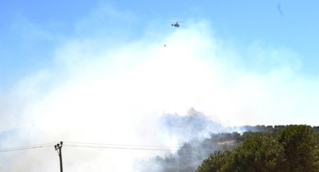 Ayvalık’ta Çöplükte Çıkan Yangın Ormana Sıçradı