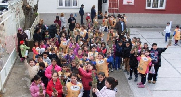 Ayvalık’ta Öğrenciler Ağaç Dikerek Orman Sevgisini Öğrendi