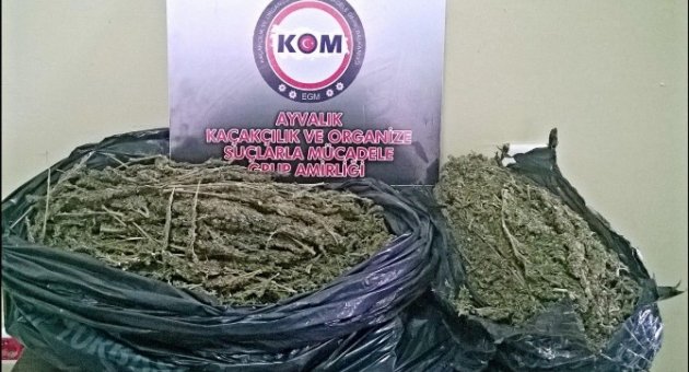 Ayvalık’ta Uyuşturucu Operasyonu