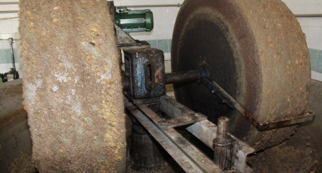 Bademler Köy Kooperatifi’nde Yılın İlk Yağı Sıkıldı