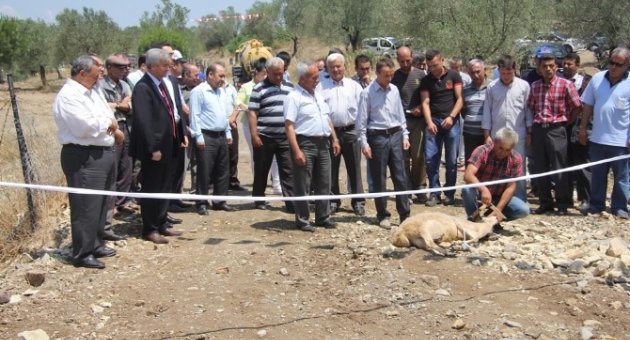 Bahadınlı’da Köprü Sevinci