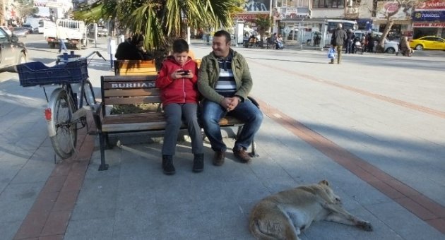 Bahar Havası Burhaniyelilerin Yüzünü Güldürdü