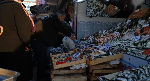 Balık Fiyatları Düştü