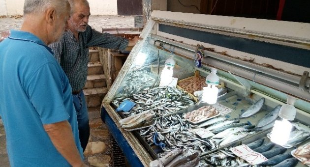 Balık Fiyatları Kırmızı Etle Yarışıyor