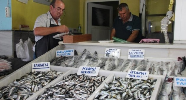 Balık Fiyatlarında Beklenen Düşüş Yaşanmıyor