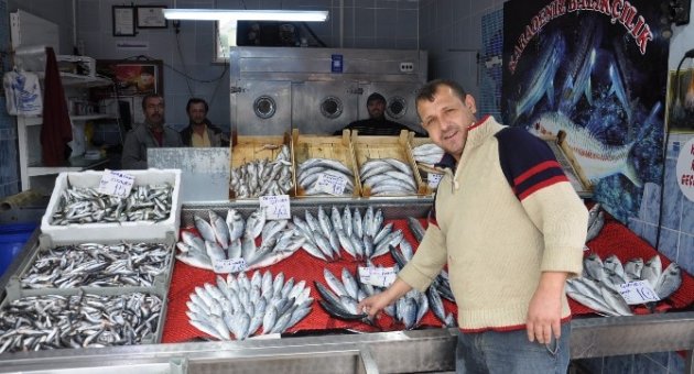Balık Sezonu Yüz Güldürmedi